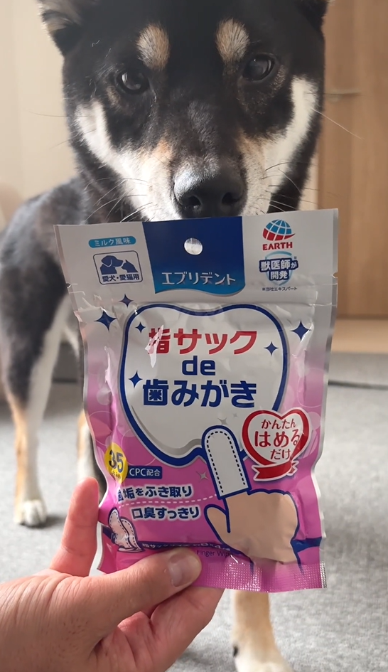 エブリデント 指サックde歯みがきの袋と黒柴ウニ